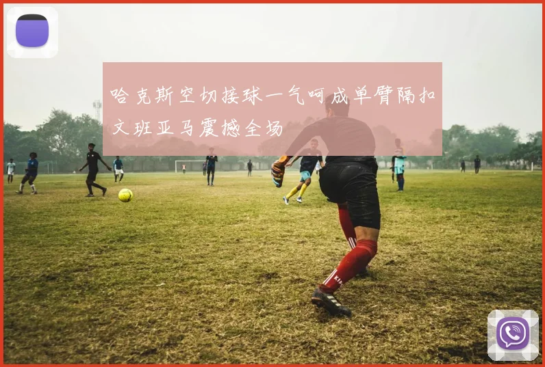 哈克斯空切接球一气呵成单臂隔扣文班亚马震撼全场
