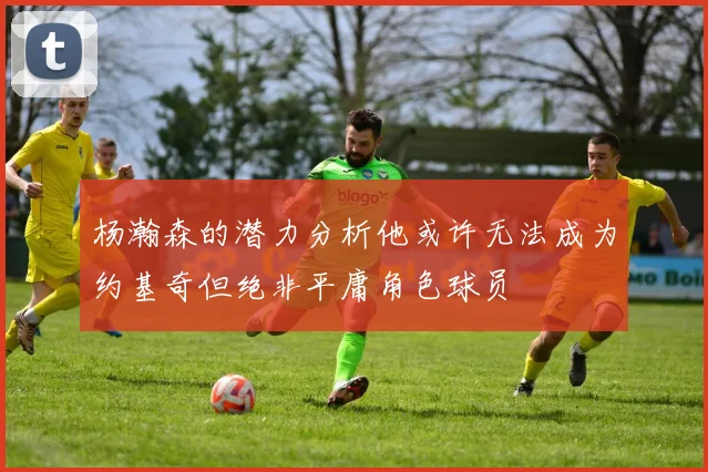 杨瀚森的潜力分析他或许无法成为约基奇但绝非平庸角色球员