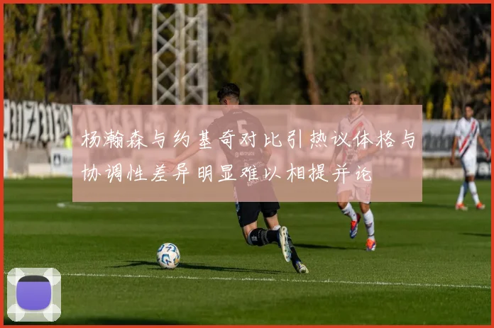 杨瀚森与约基奇对比引热议体格与协调性差异明显难以相提并论