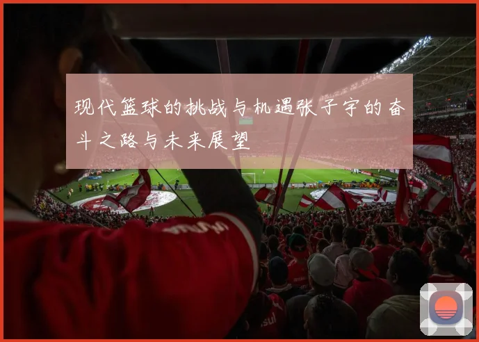 现代篮球的挑战与机遇张子宇的奋斗之路与未来展望